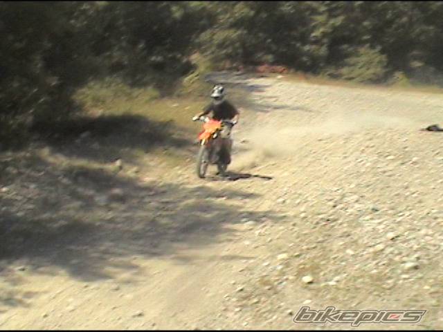 Photo 206681