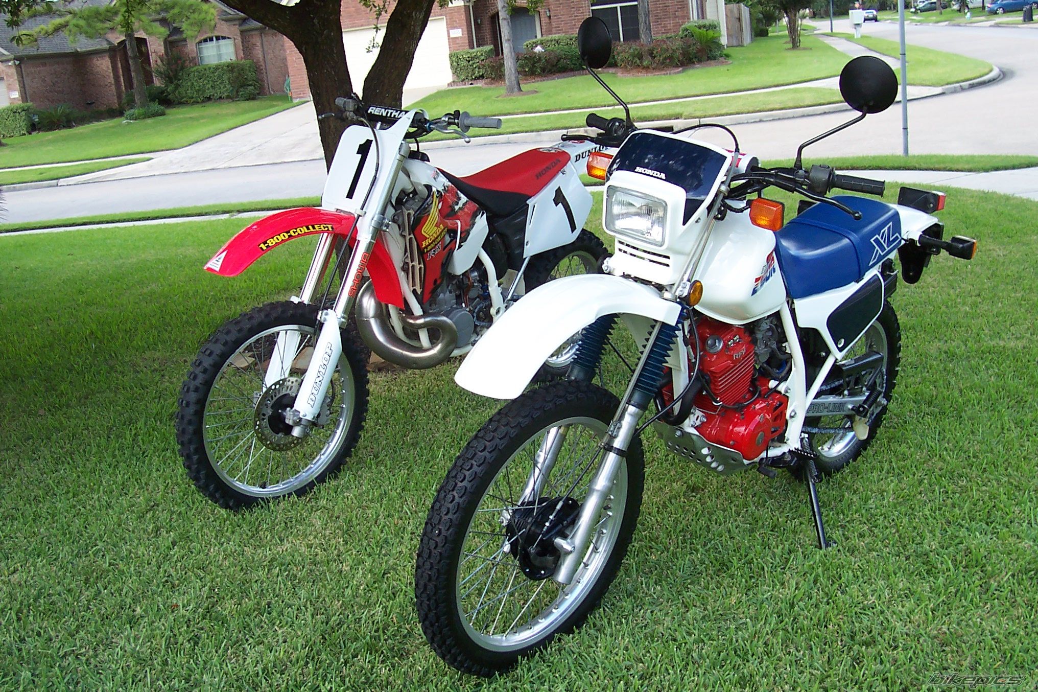 Photo 2066872