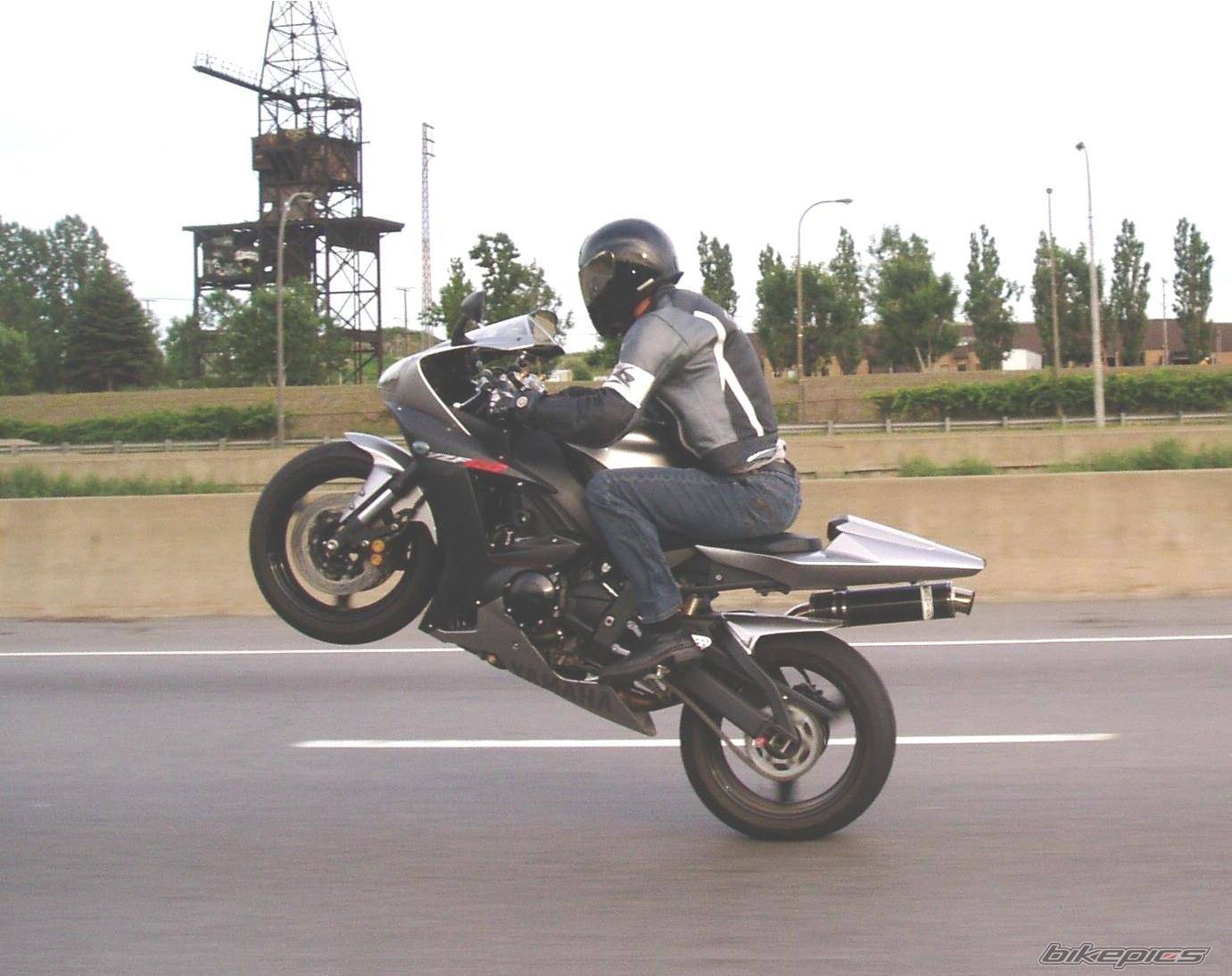 Photo 206712