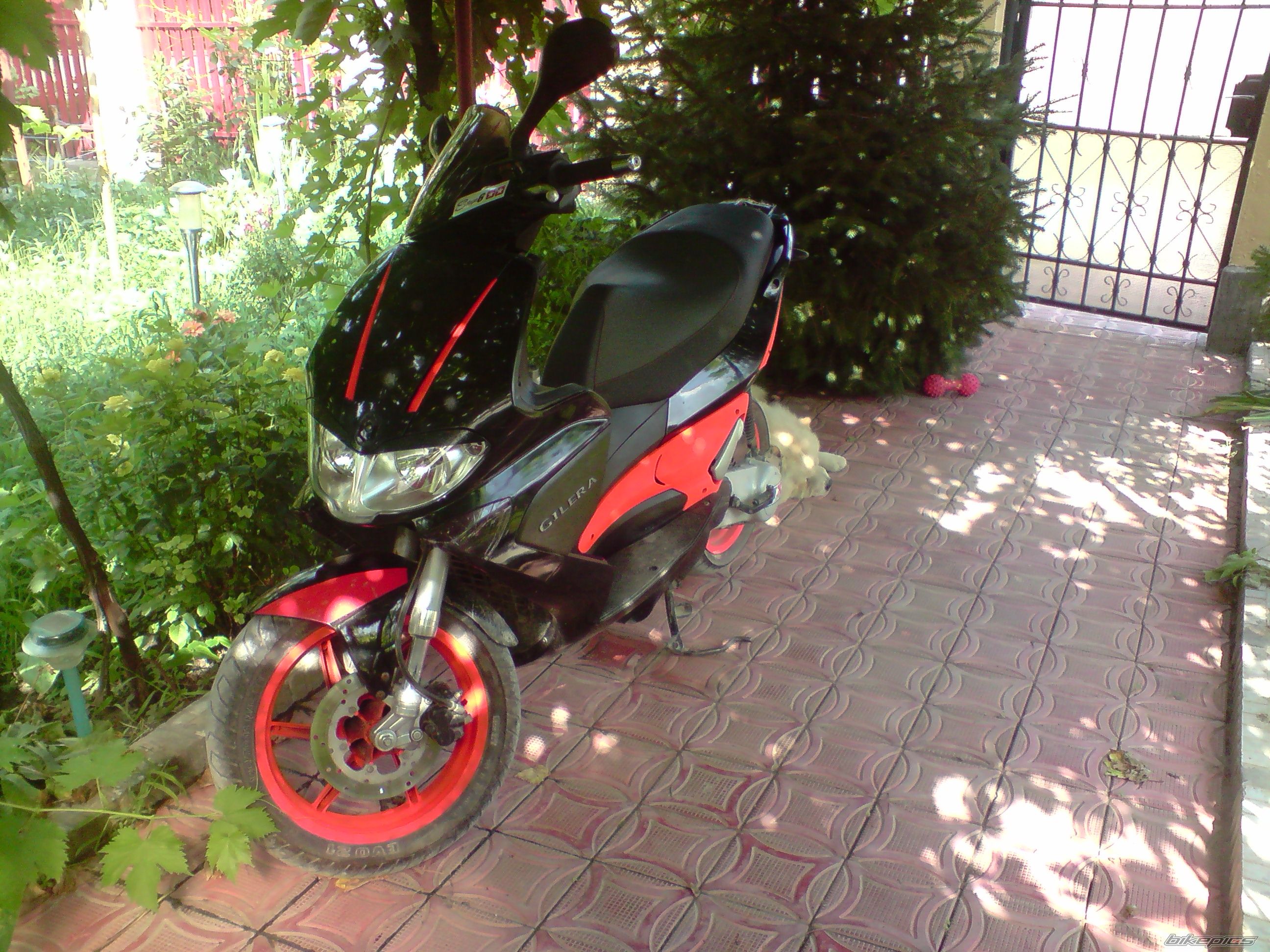 Photo 2067252