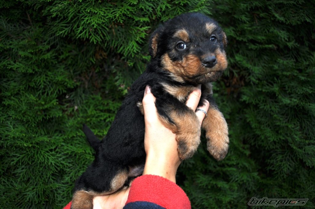 Photo 2067284