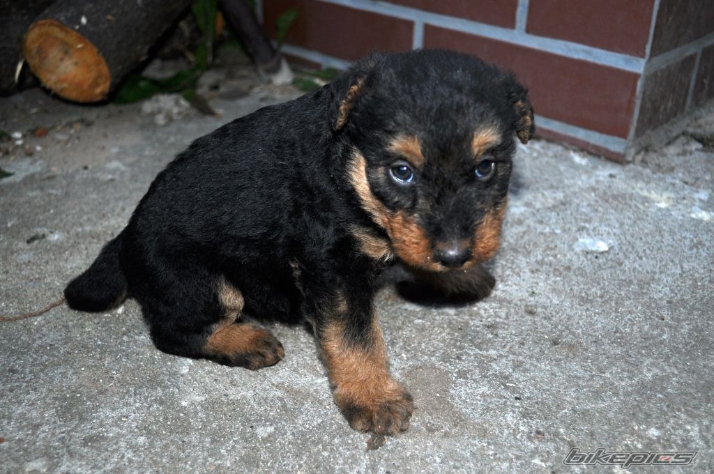 Photo 2067285
