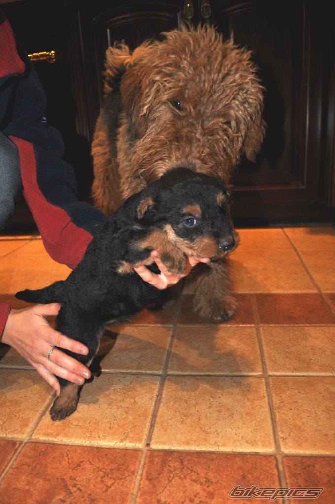 Photo 2067288