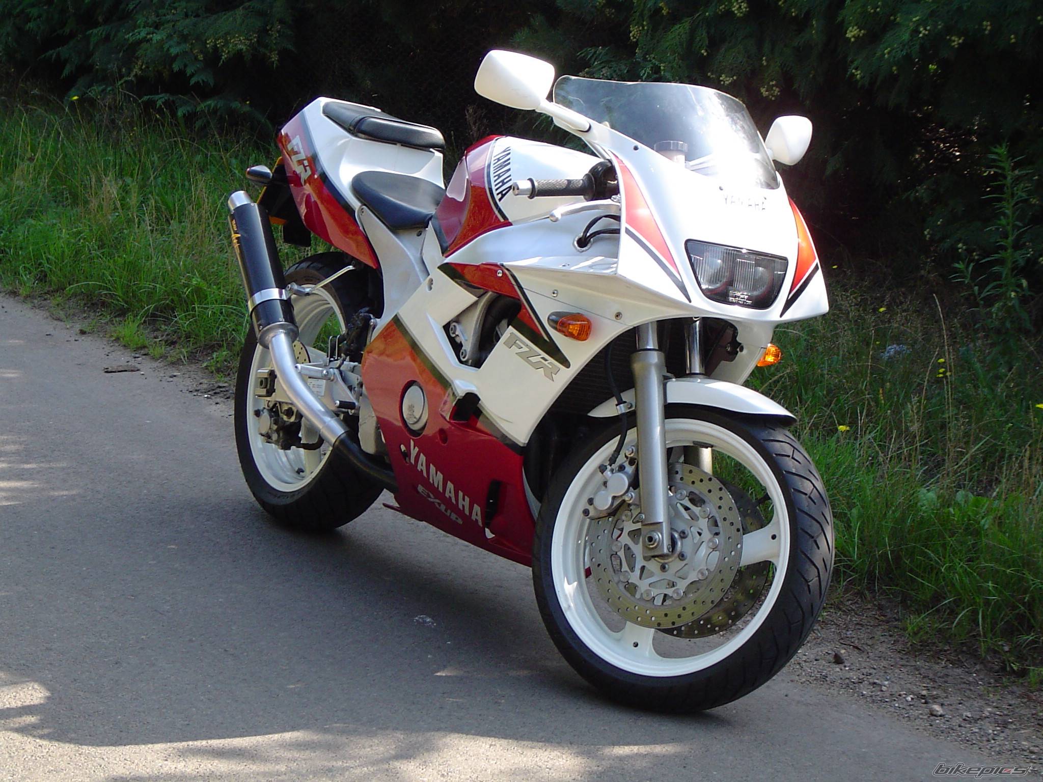 Photo 206729