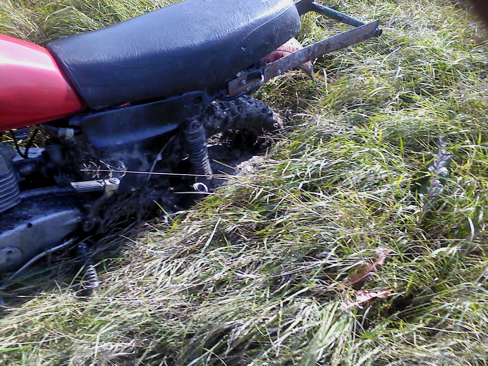 Photo 2067355