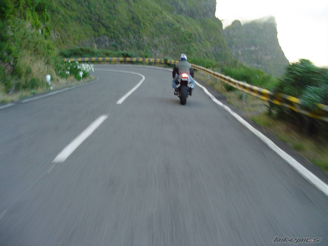 Photo 206736