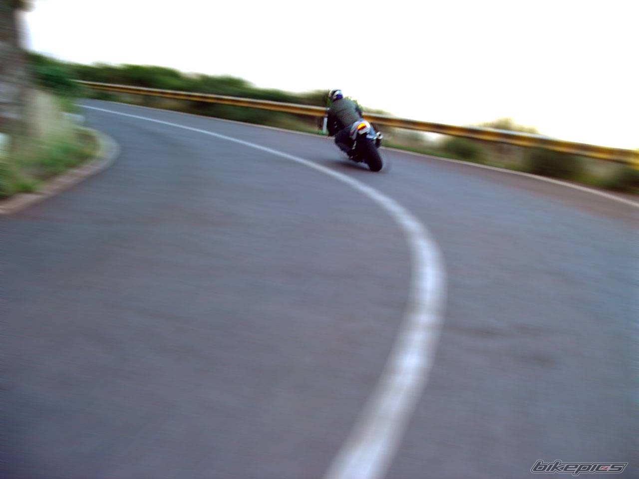 Photo 206737