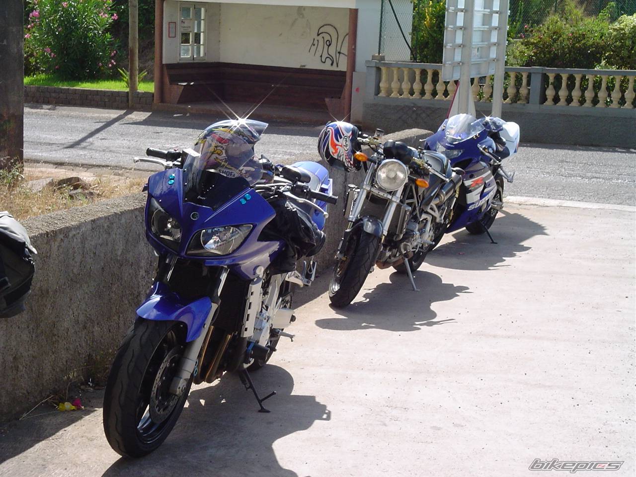 Photo 206748