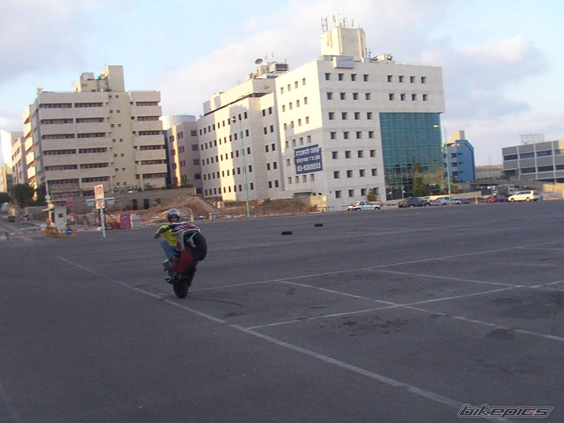 Photo 206752