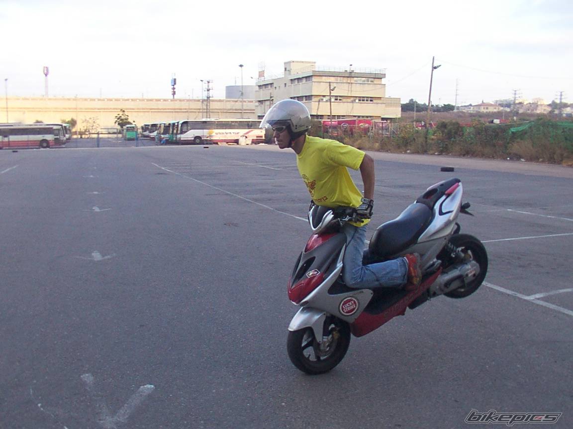 Photo 206755