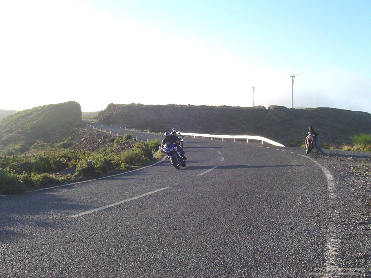 Photo 206759