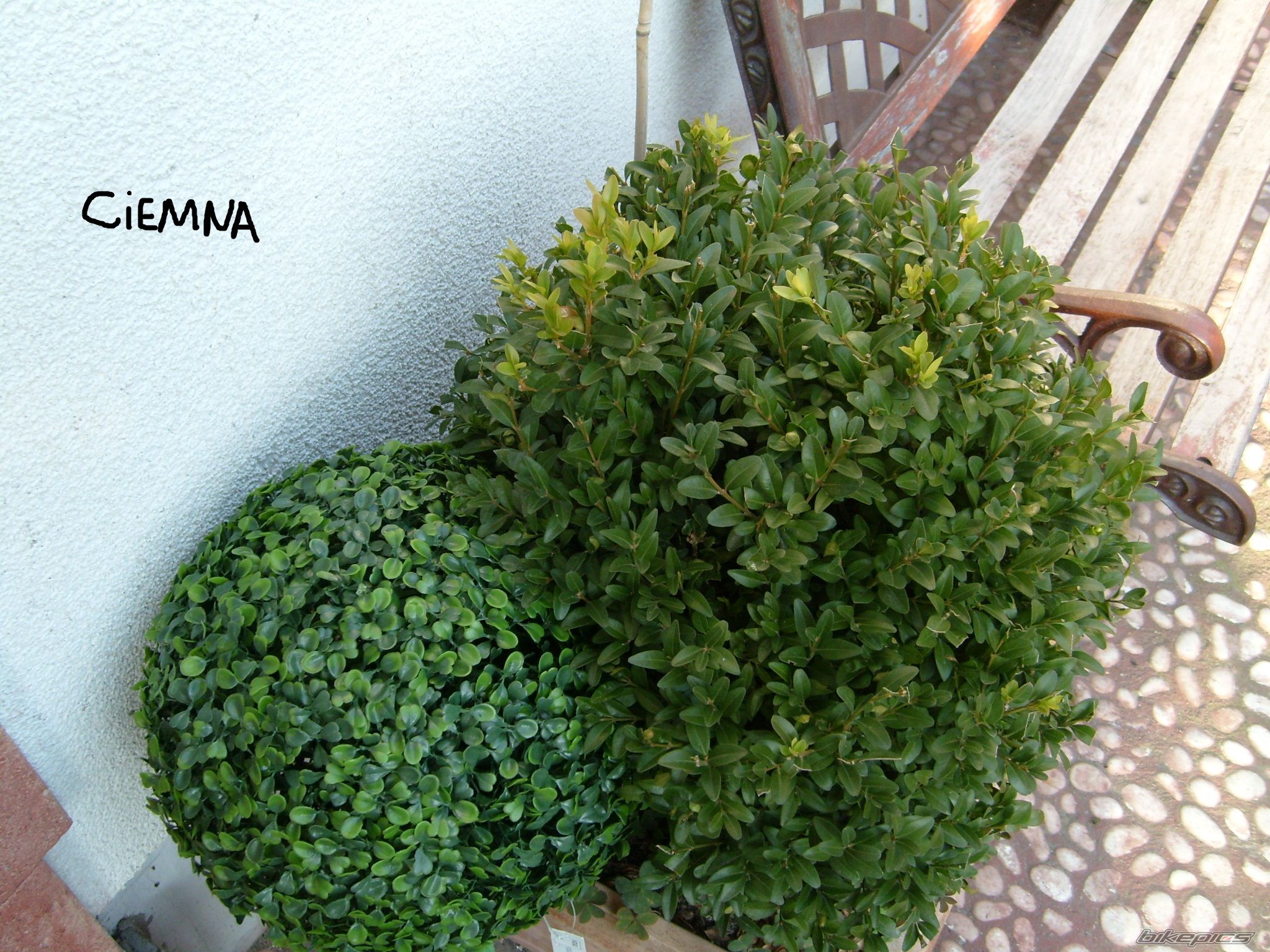 Photo 2067590