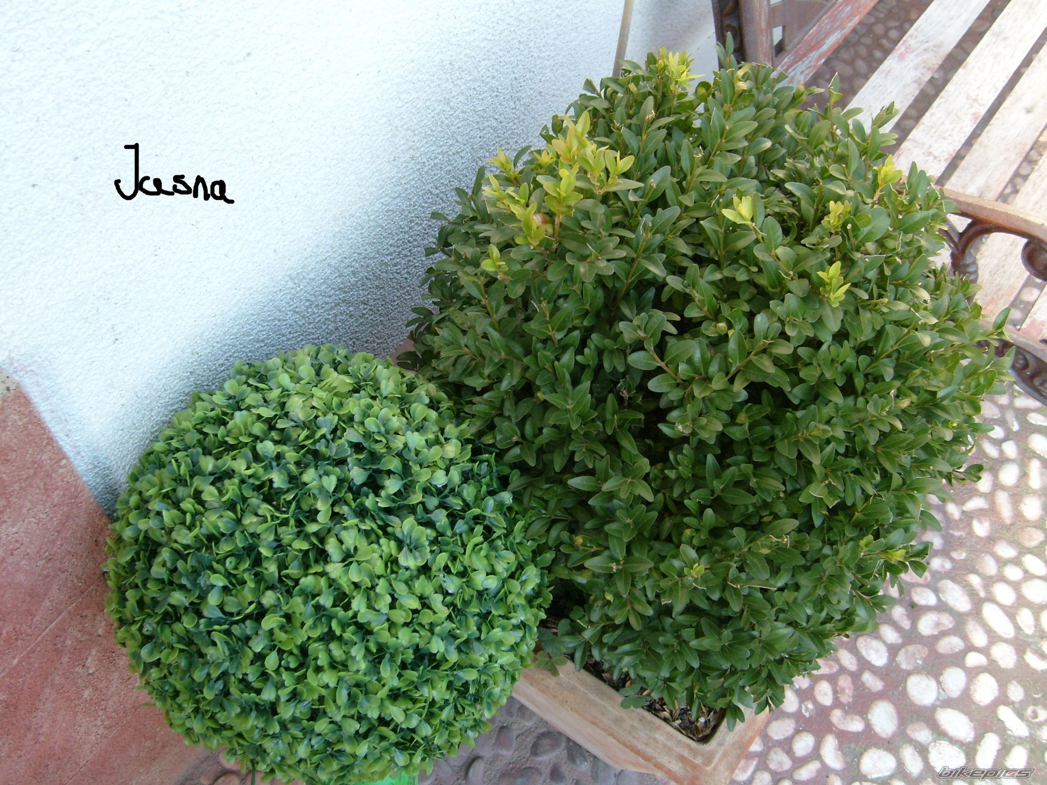 Photo 2067591