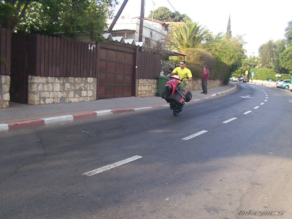 Photo 206771