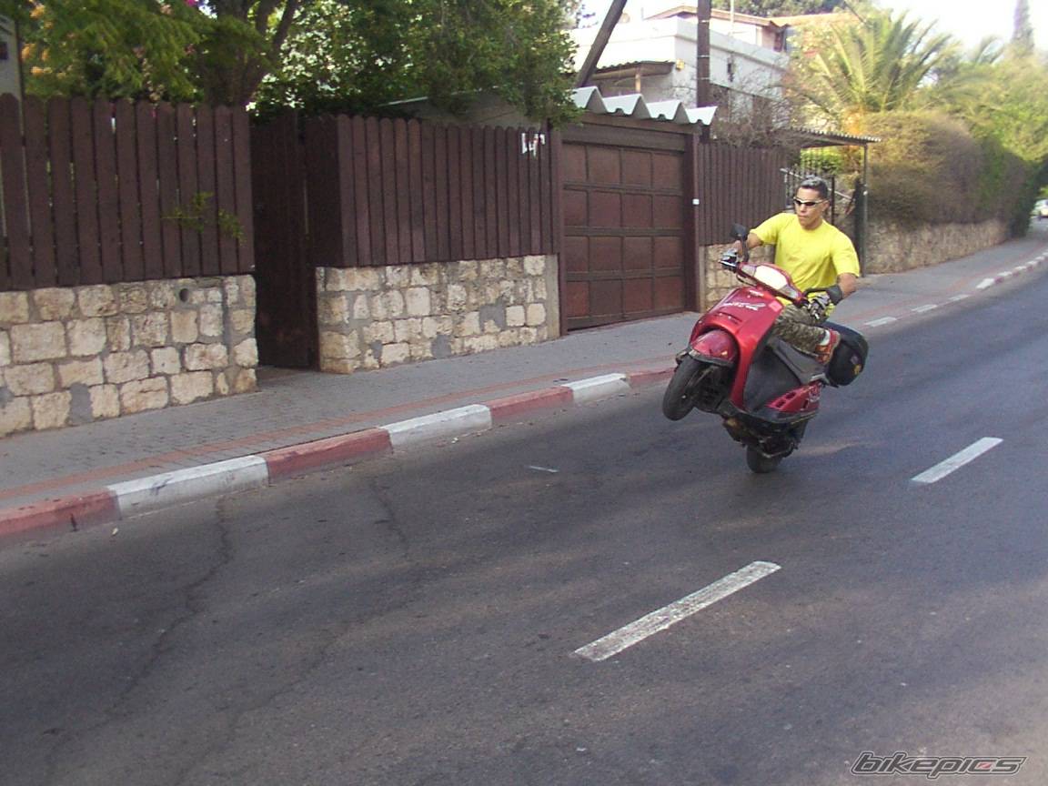Photo 206772