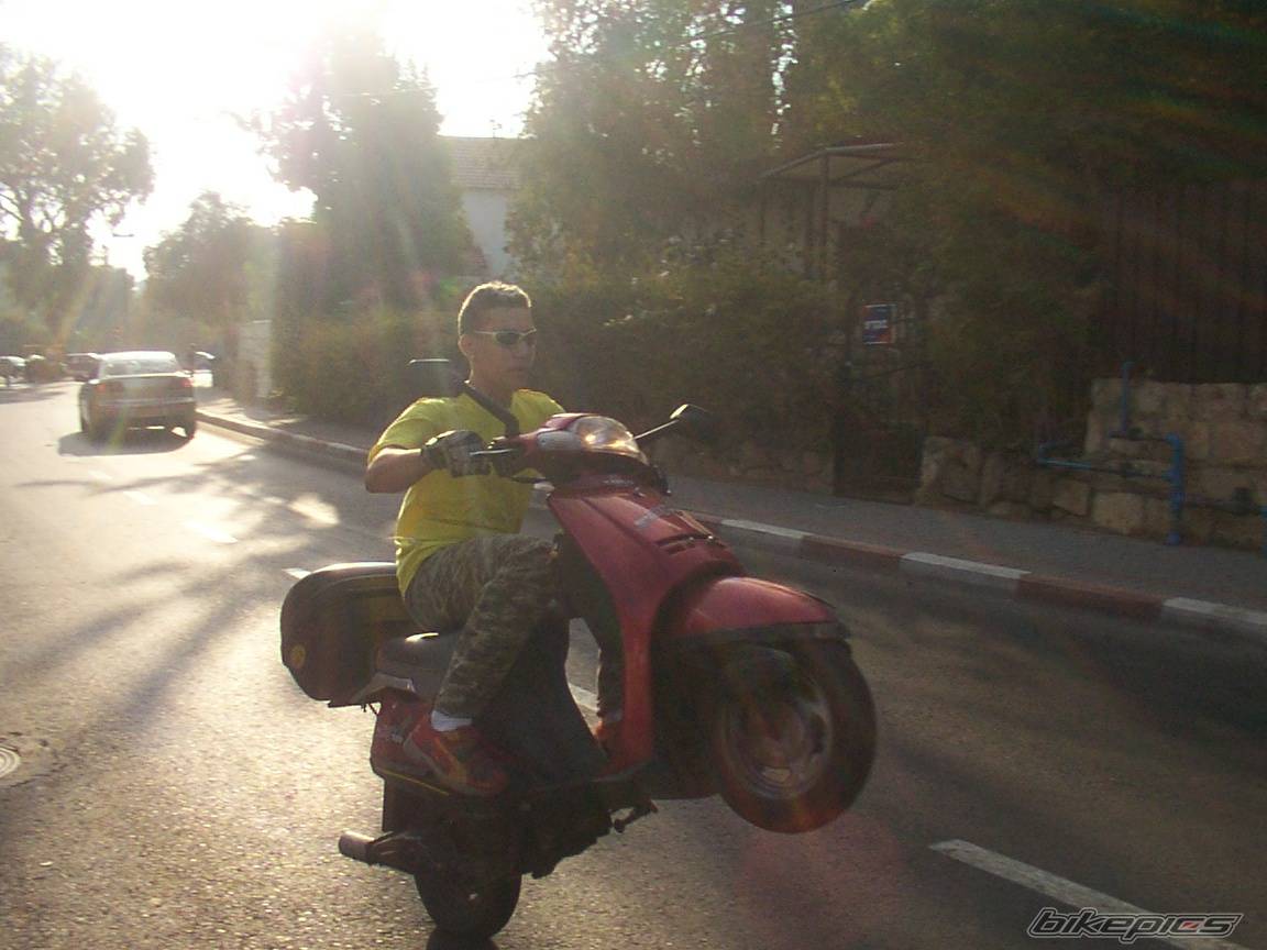 Photo 206773