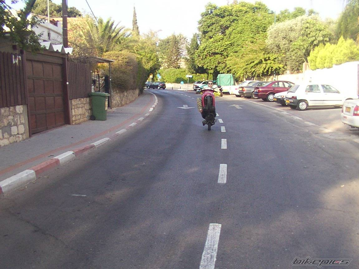 Photo 206774