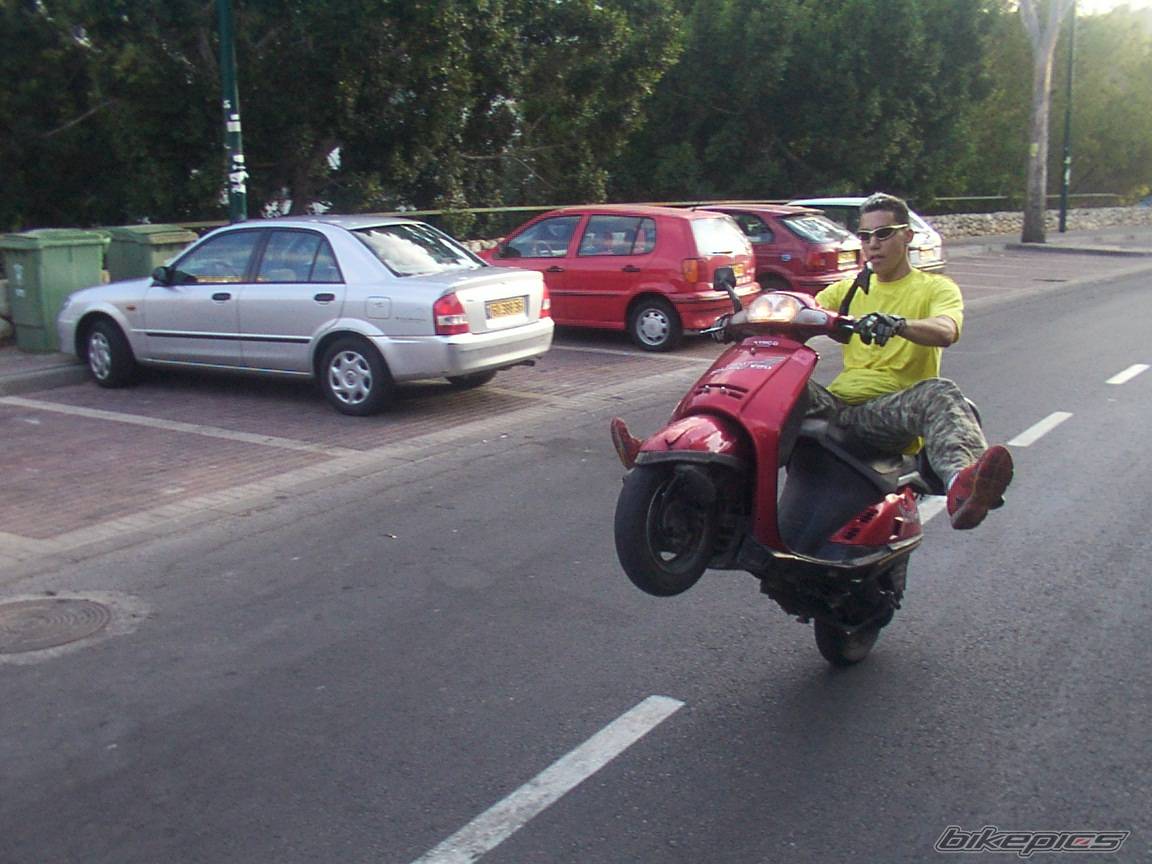 Photo 206776