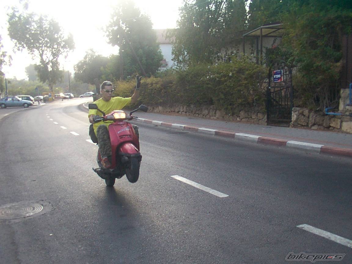 Photo 206777