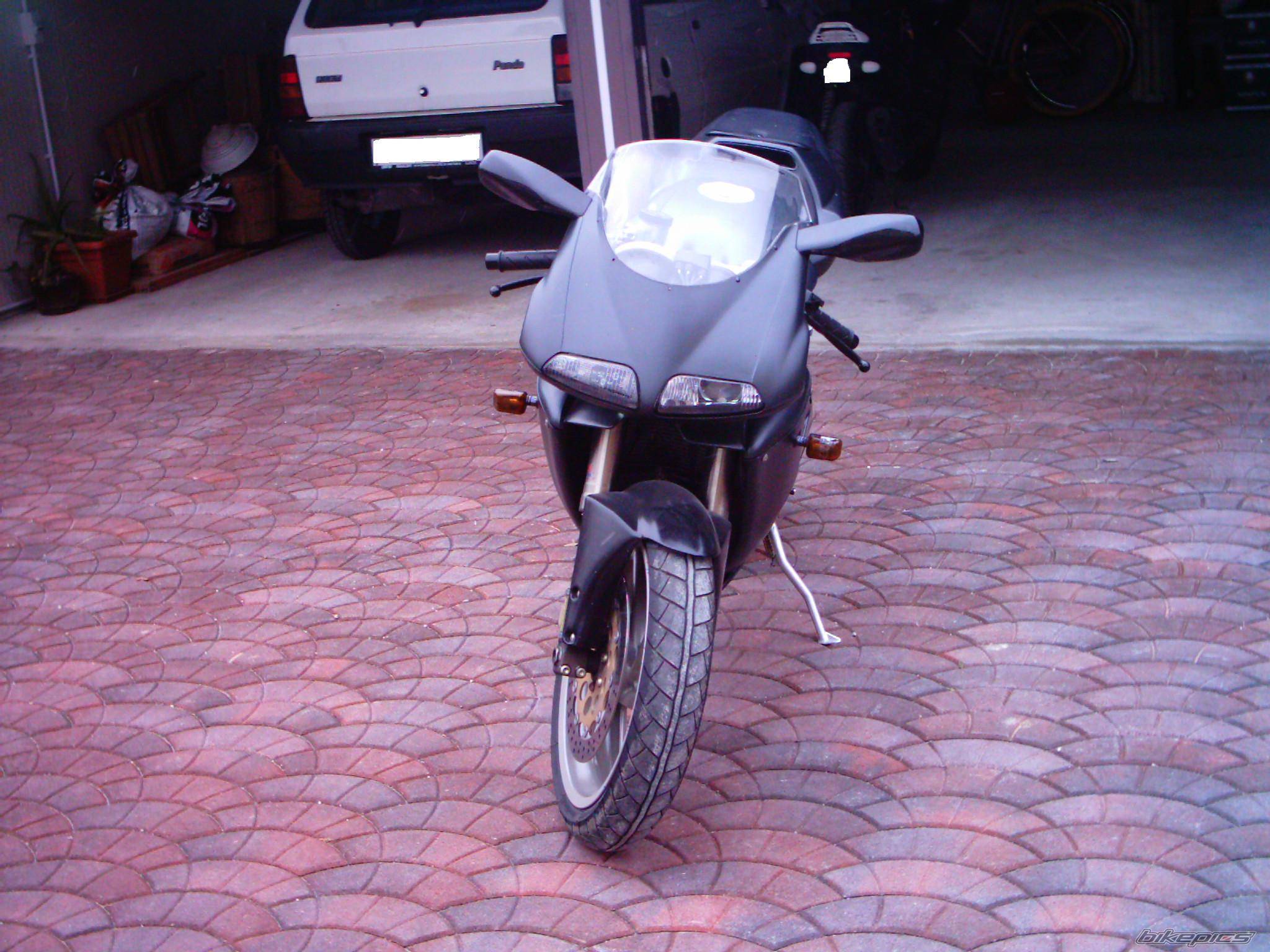 Photo 206778