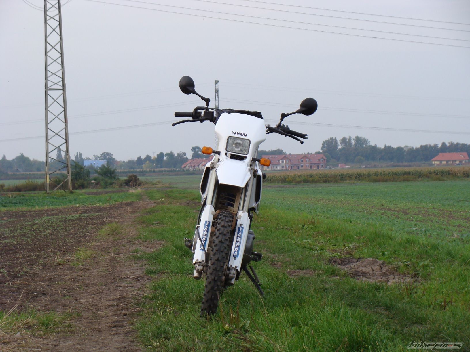 Photo 2067780