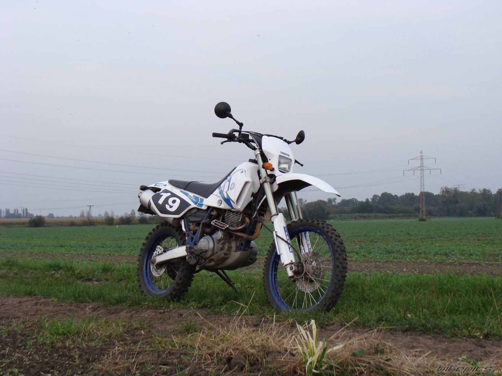 Photo 2067782