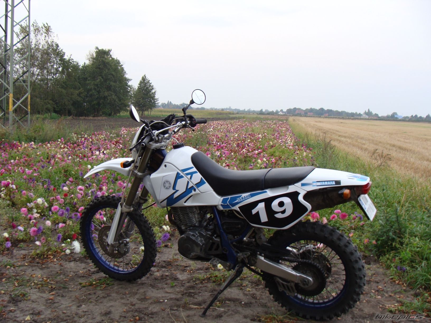 Photo 2067786