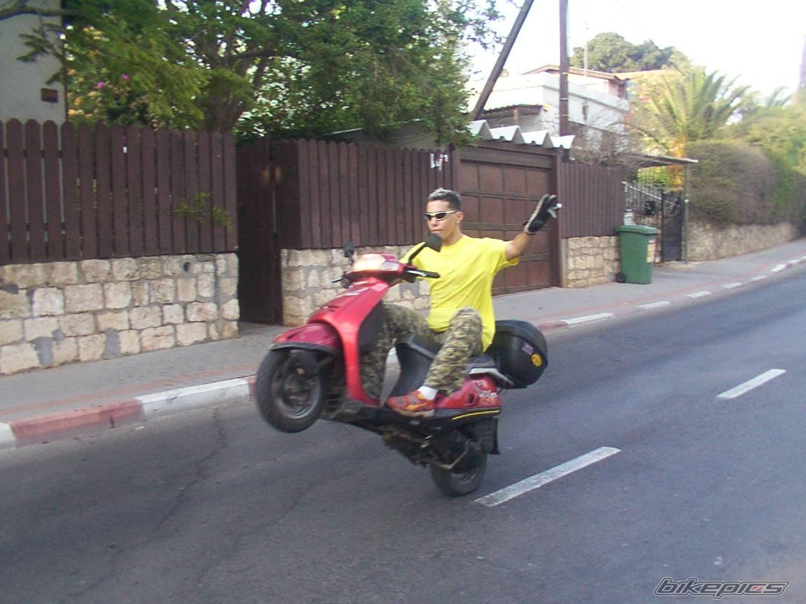 Photo 206779
