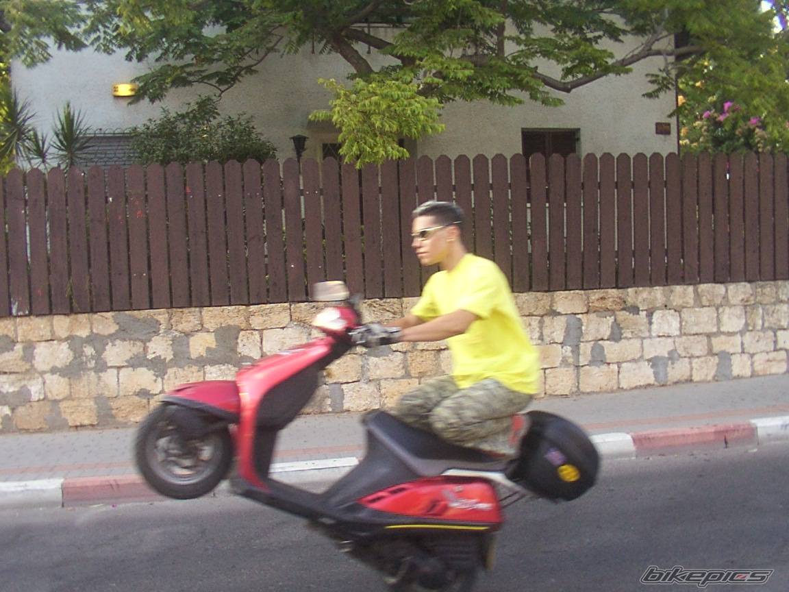Photo 206780