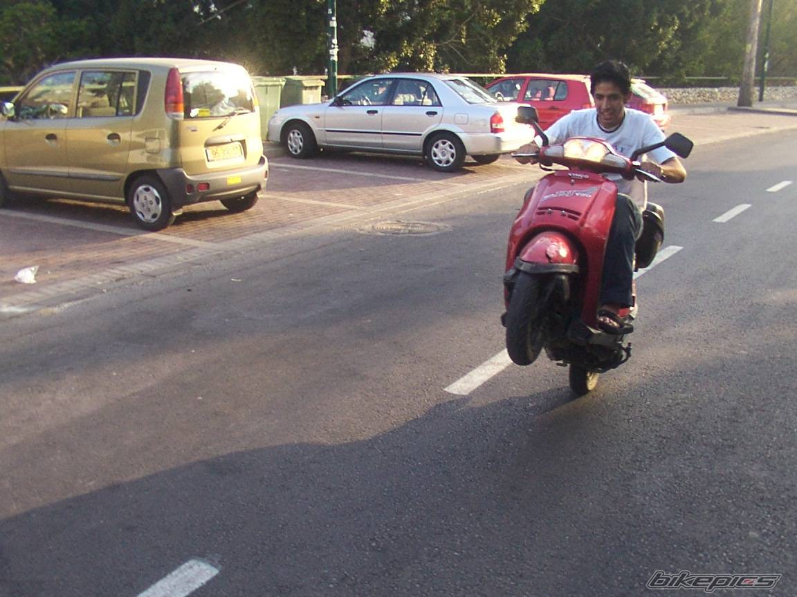 Photo 206781