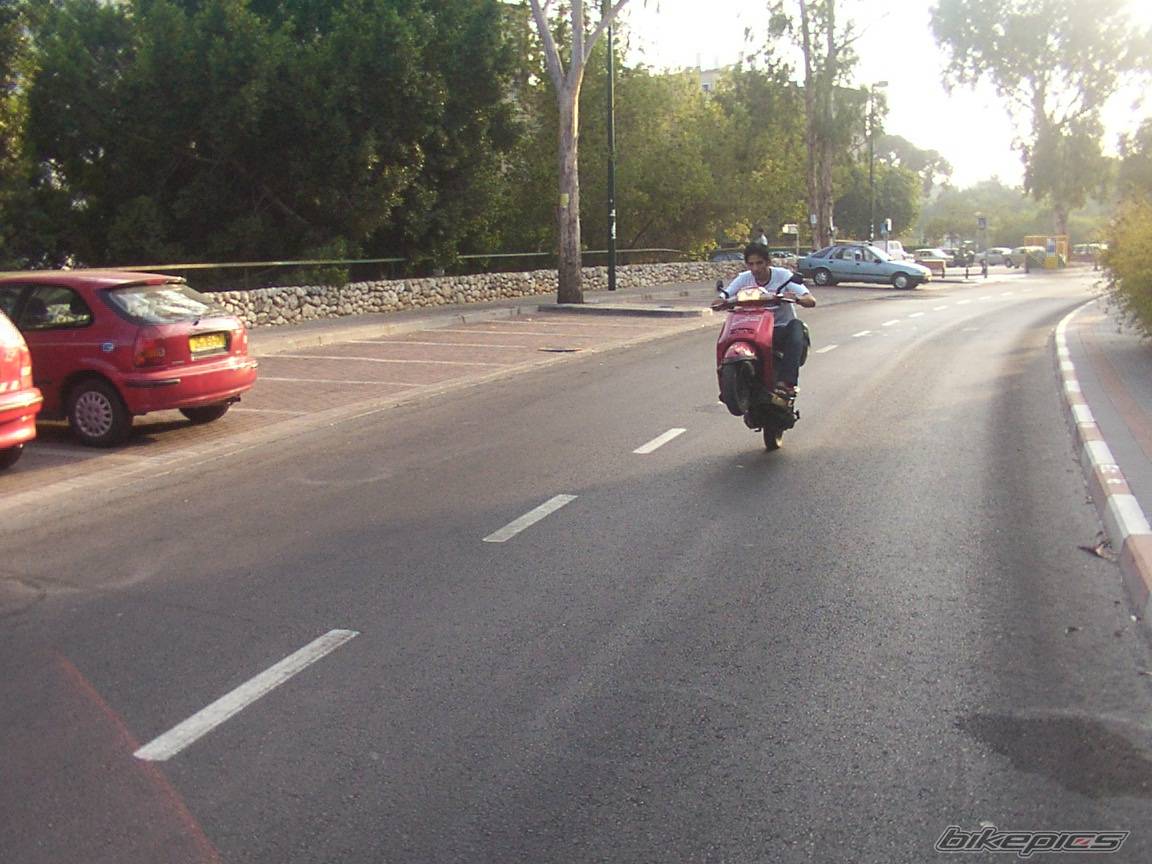 Photo 206782