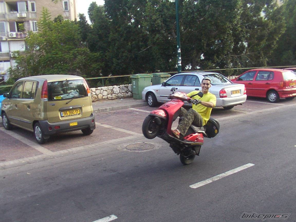 Photo 206783
