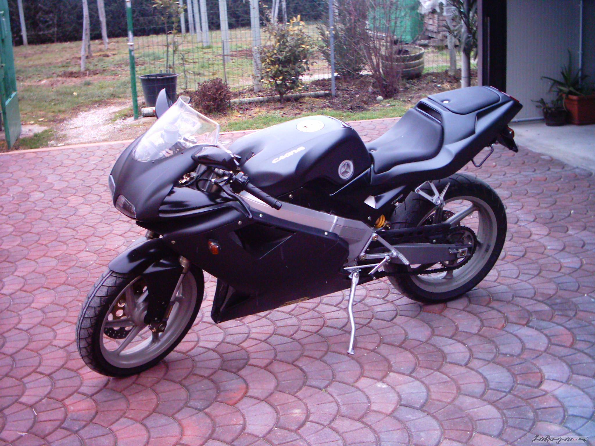 Photo 206785