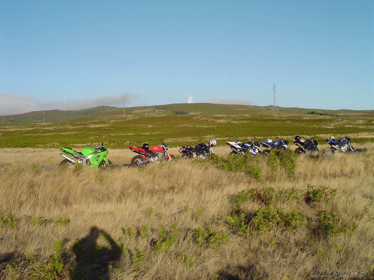 Photo 206790