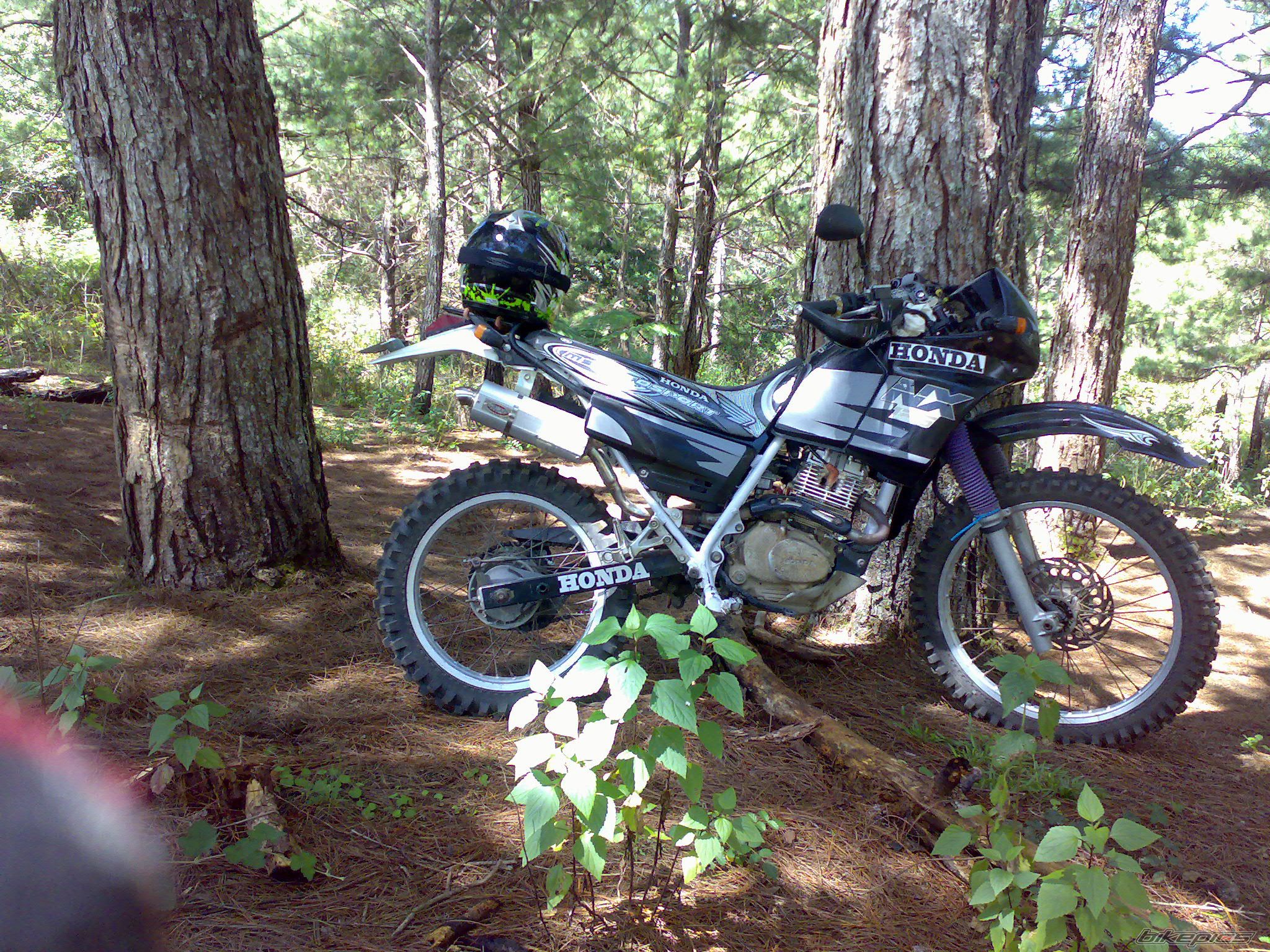 Photo 2068165