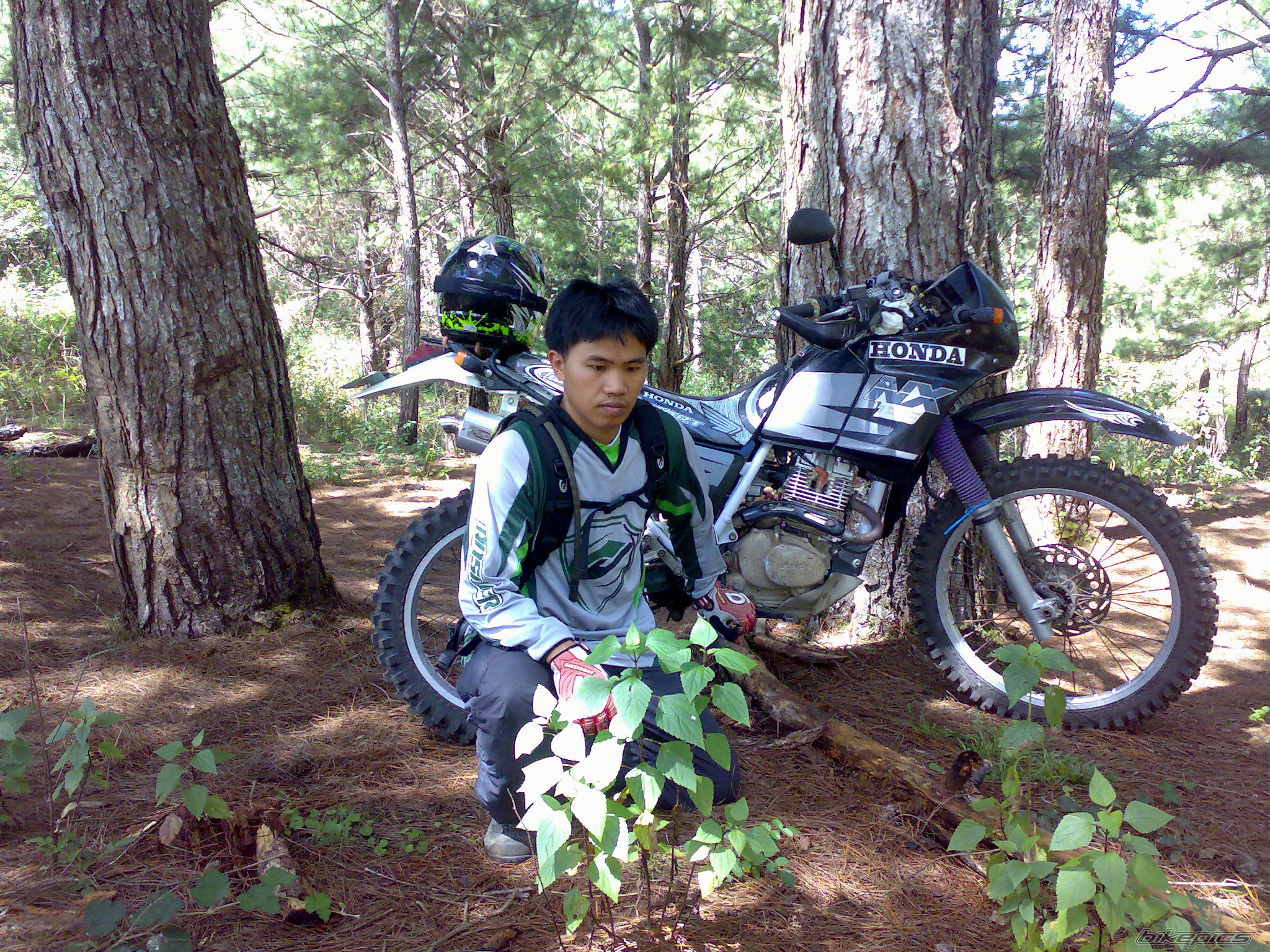 Bike Photo 2068167