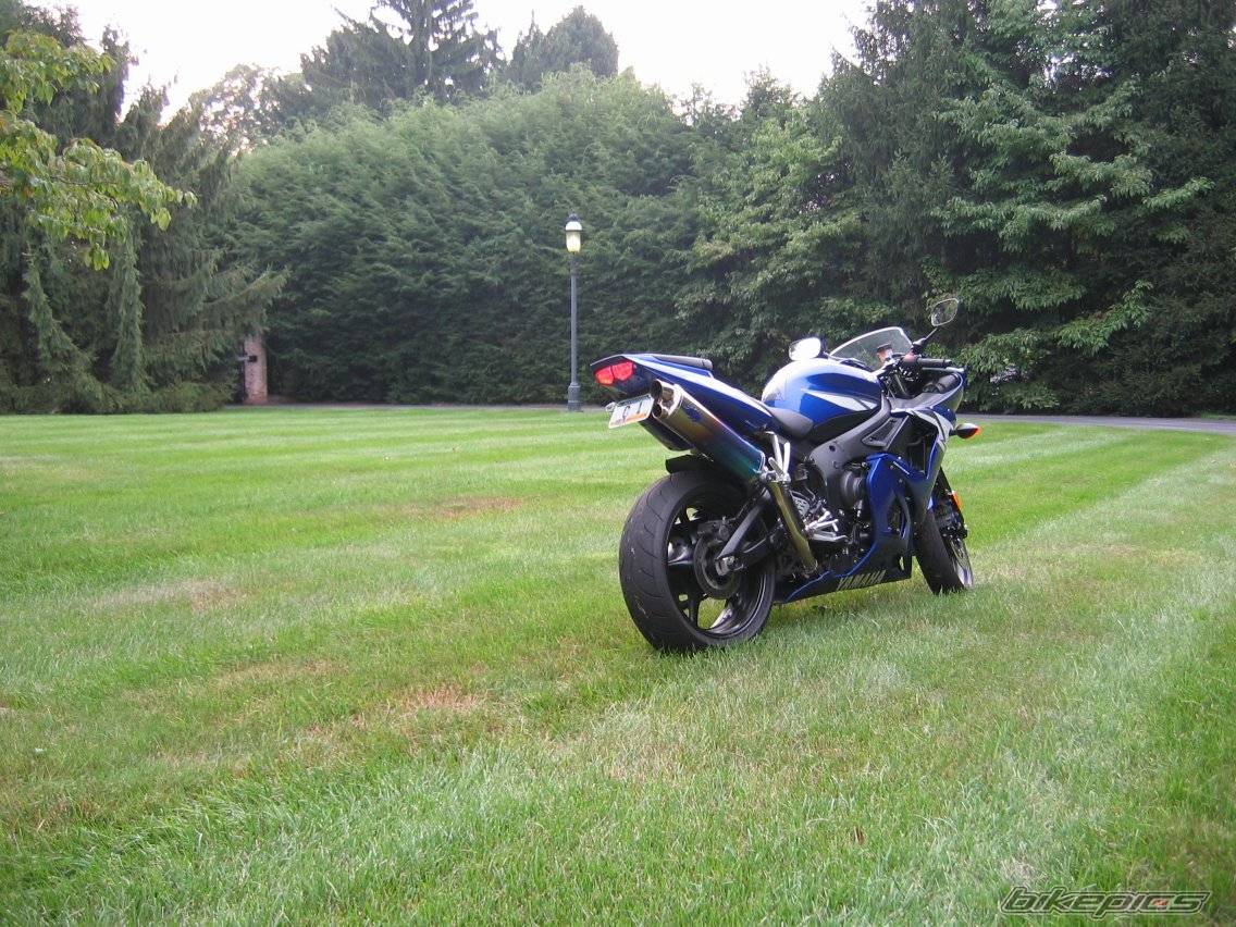 Photo 206845
