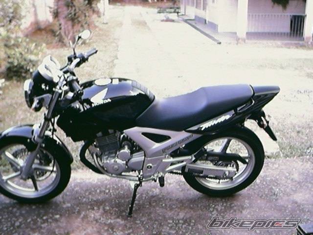 Photo 206846