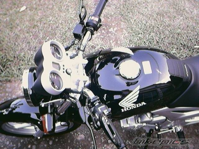 Photo 206848