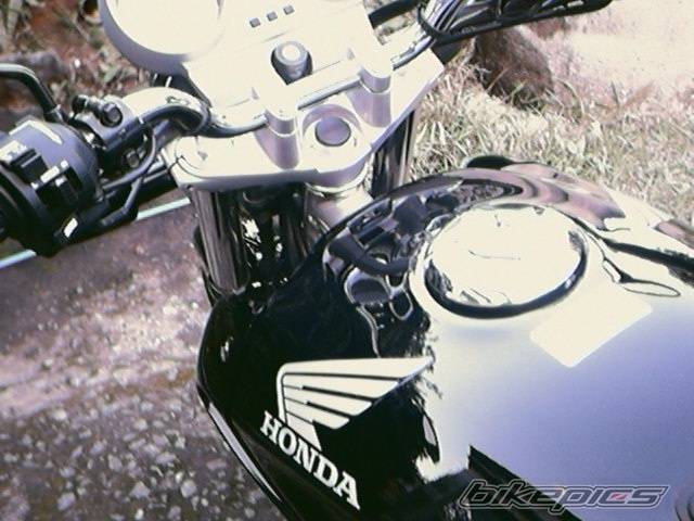 Photo 206850