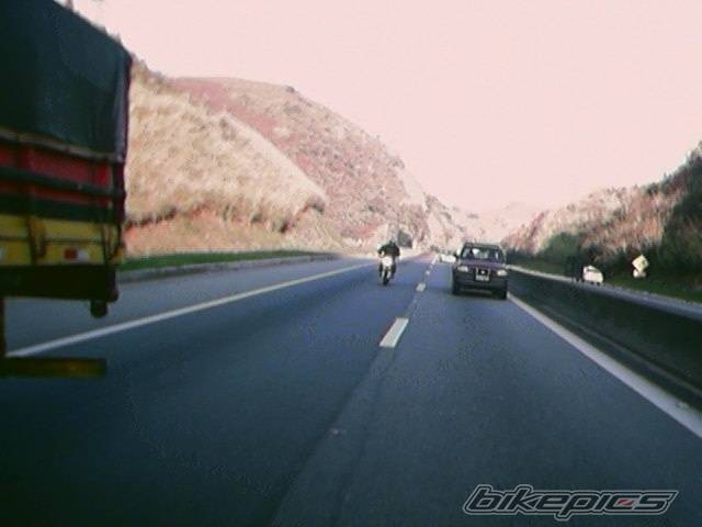 Photo 206855