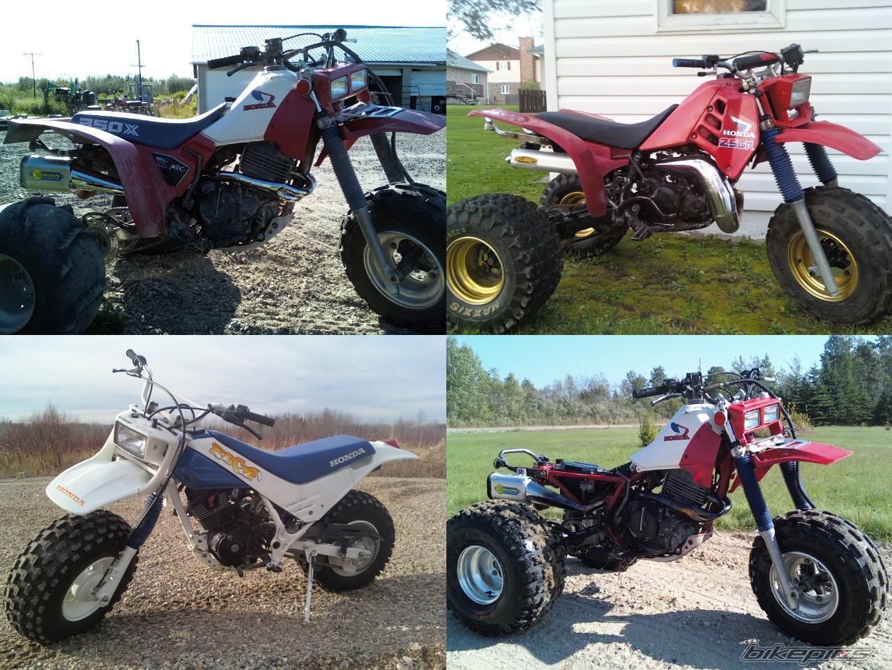 Photo 2068613