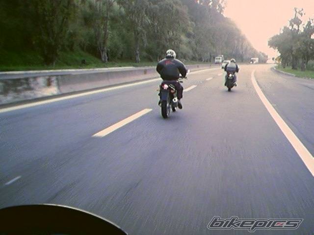 Photo 206868