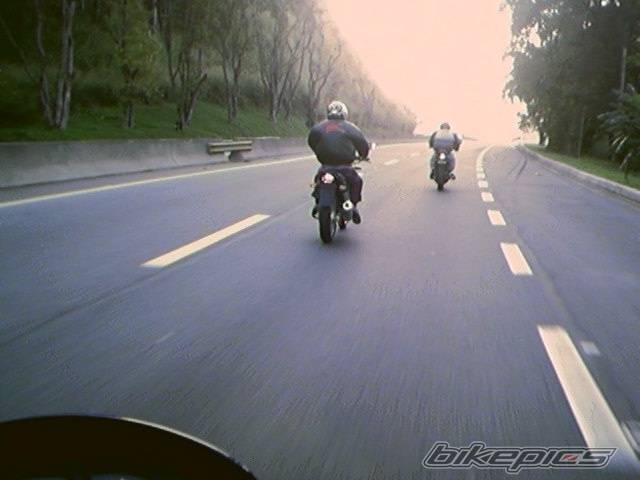 Photo 206871