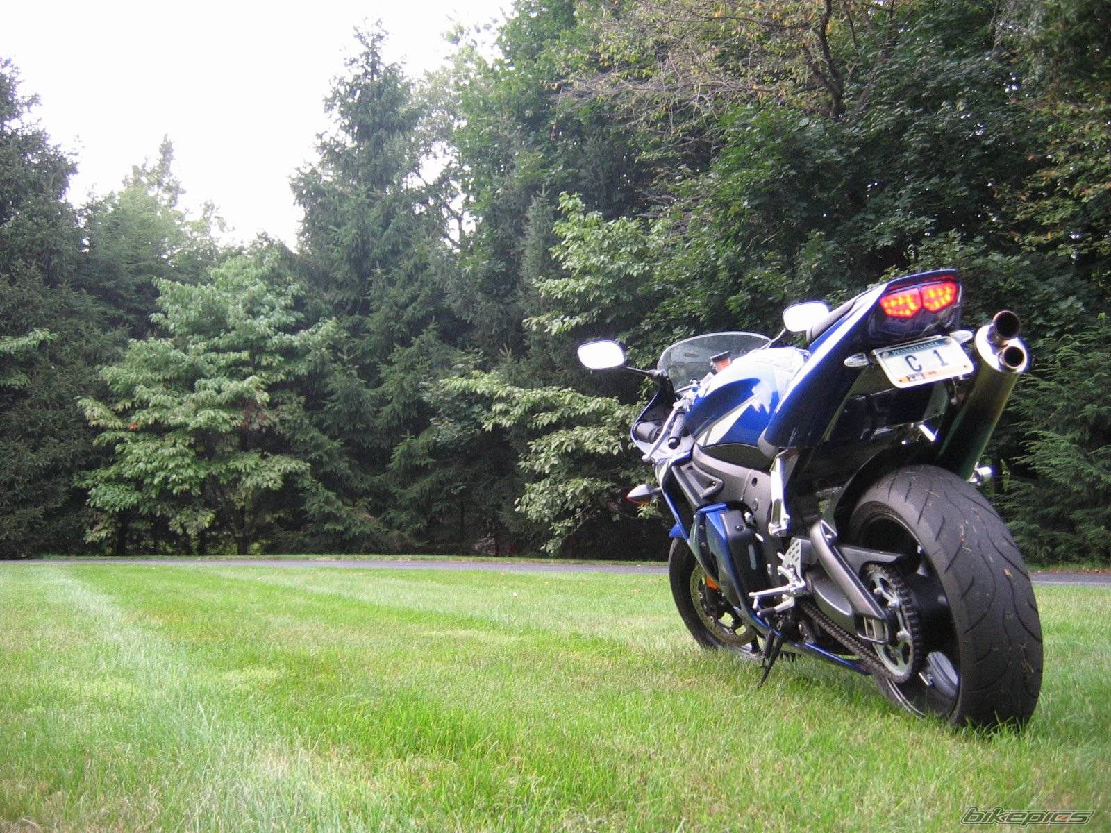 Photo 206874