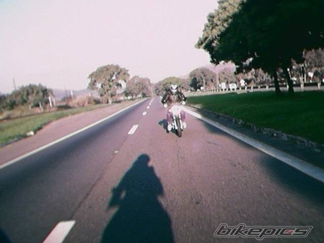 Photo 206875