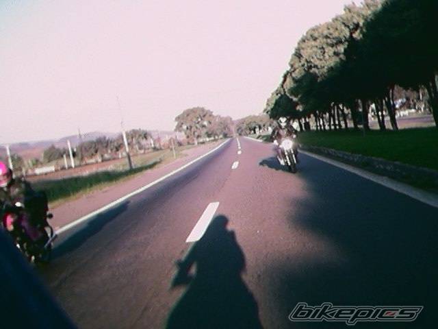 Photo 206876