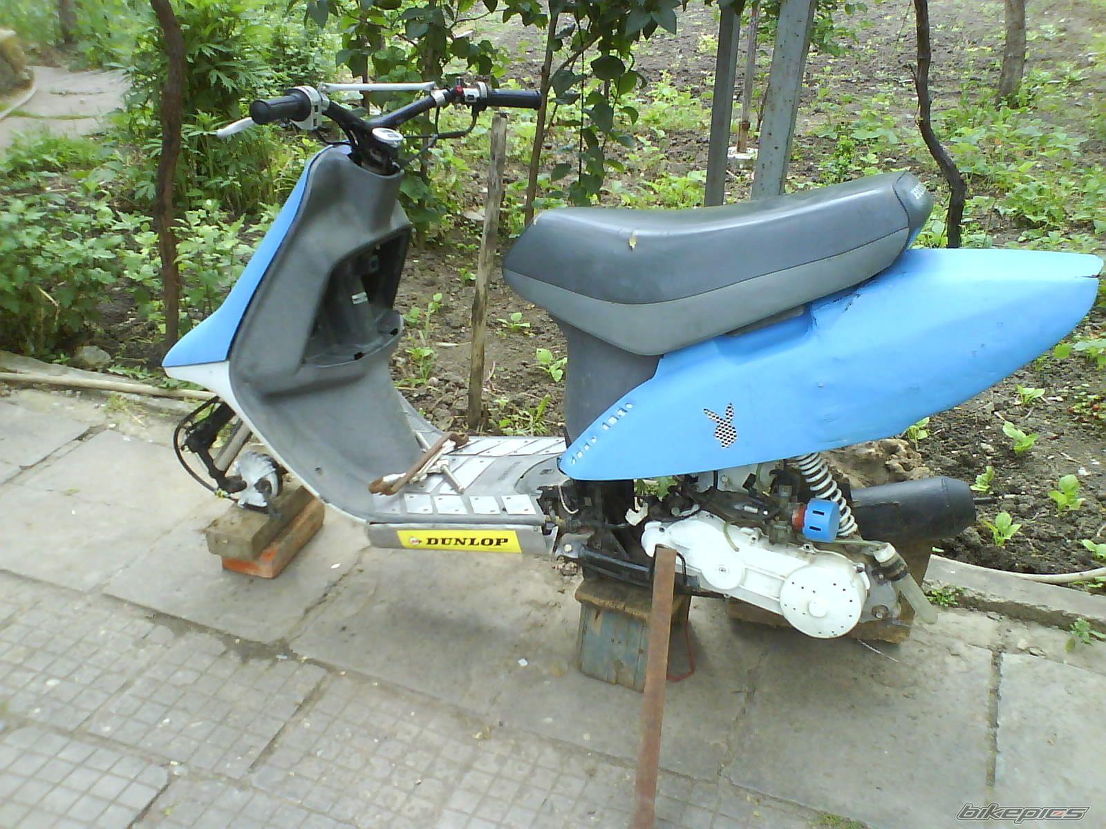 Photo 2068809
