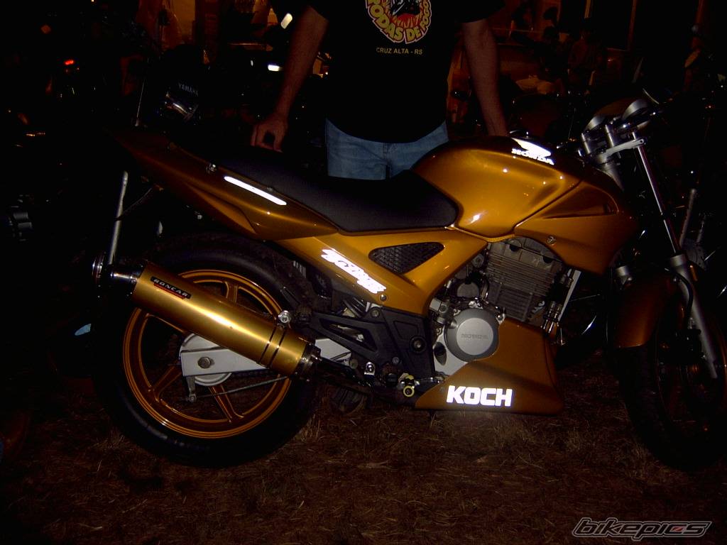 Photo 206881