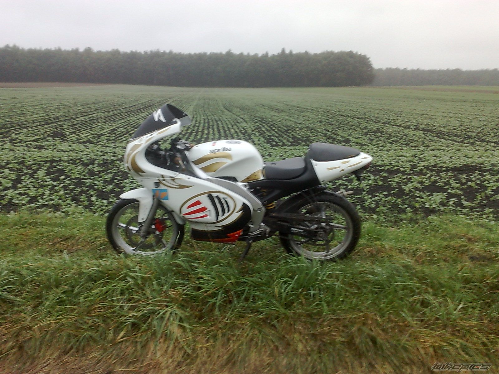 Photo 2069040